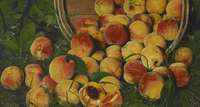 Basket of Peaches