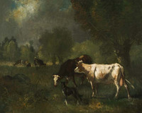 Cattle in Pasture