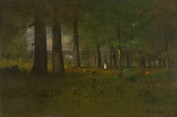 The Edge of the Forest