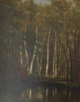 White Birches
