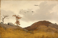 Landscape with Crows