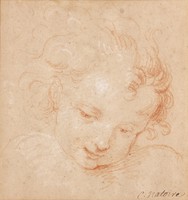 Head of a Putto