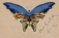 Blue Butterfly