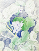 White Flowers