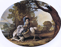 The Farmer's Wife and the Raven