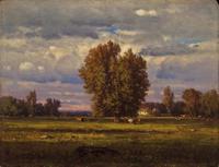 The Meadow