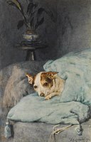 Tucked Up