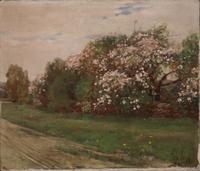 Landscape: Trees in Bloom