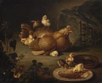 Hen and Chickens