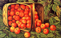 Crab Apples Tumbling from a Basket