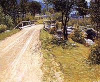 Sandy Road