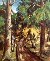 Forest Path