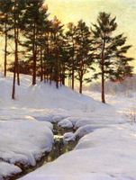Sun Behind the Pines