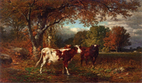 Cows in a Field