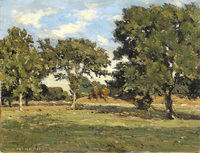 Untitled (French Pasture with Trees)