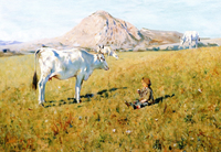Pascolo a Pietramala