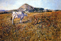 Pascolo a Pietramala