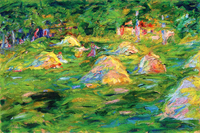Hay Meadow