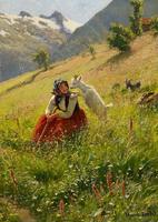 Tender Welcome