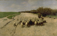 Return of the Flock