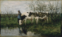 The Cowherd