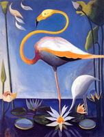Flamingo