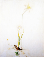 Sparrow and Lilies