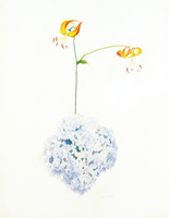 Lilies and Blue Hydrangea