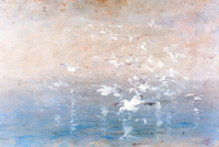 Vol de mouettes