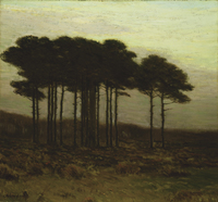 November Landscape