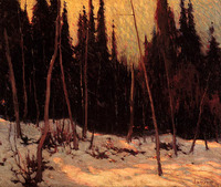 Morning, Algonquin Park