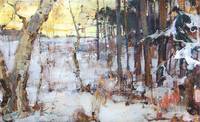 Winter Landscape