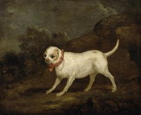 "Carlin" in the Countryside