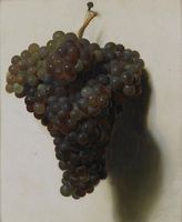 Black Grapes