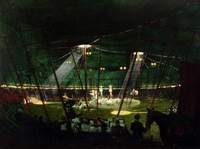 Circus