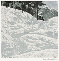 Snow