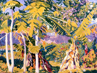 Bermuda, Tropical Floral