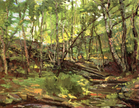 Creek Woods, Connecticut