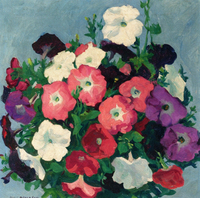 A Bouquet of Petunias