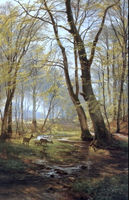 A Woodland Scene With Deer