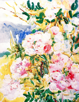 Peonies