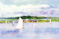 Sailboats