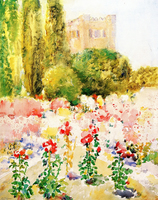 Flowering Field, Ithaca, New York