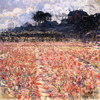Flowering Fields, Noordwijk (Holland)
