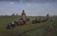 Flaxweeding in Flanders