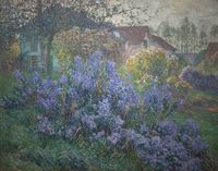 The Asters