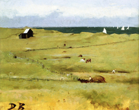 White Sails