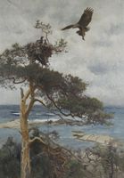 Sea Eagle with Prey Returning to the Nest
