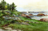 Pine Trees by the Coast
