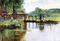 The Lily Pond